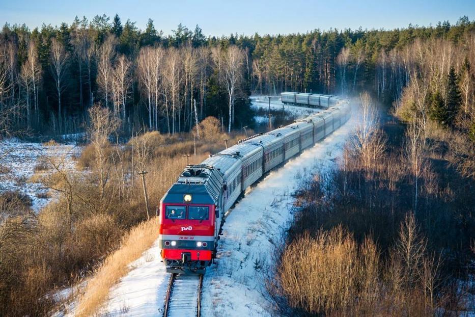 Железная дорога по лесу 