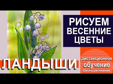 КАК НАРИСОВАТЬ ЛАНДЫШ ПОЭТАПНО КАРАНДАШОМ 2019 