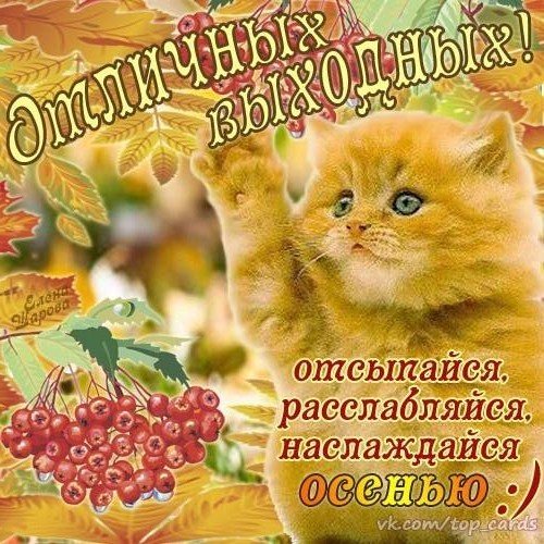 Отличных выходных!