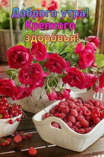 С Добрым Утром! ☕🌹Красивейшие Пожелания 