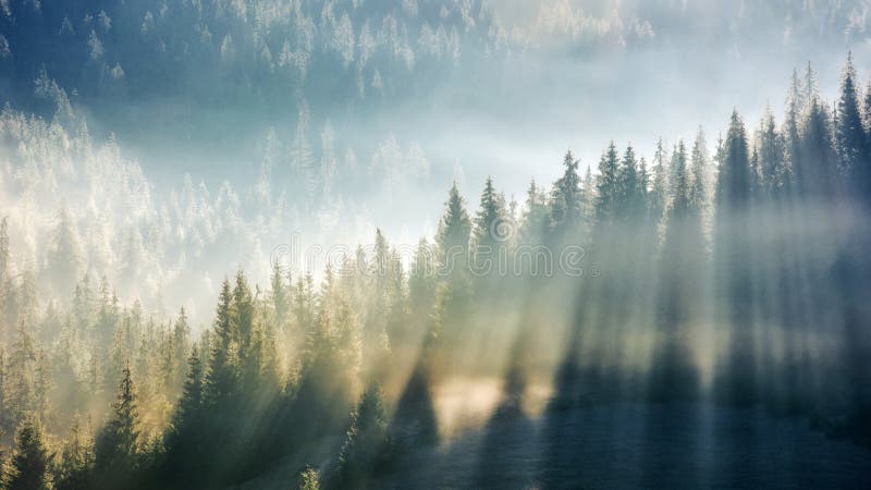 Горное озеро в закатных лучах