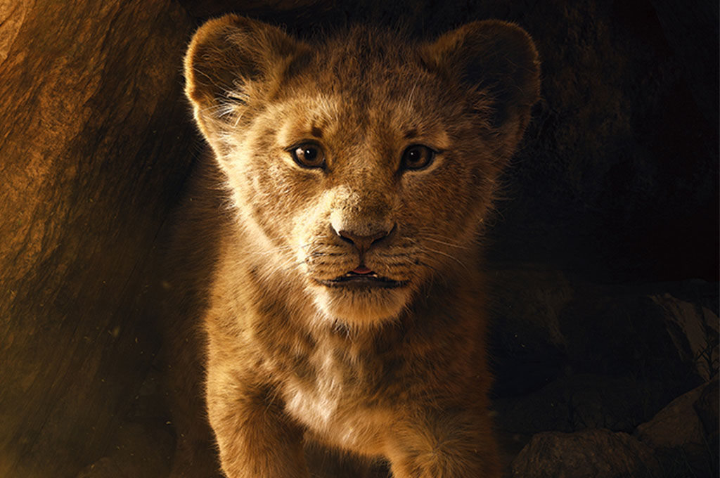 Фотография Лев Panthera leo Львица и львенок