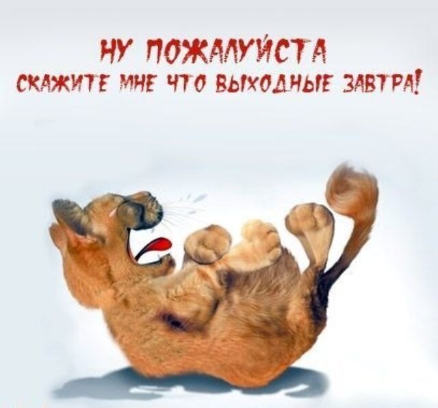 Выходными пахнет!!!!!!,