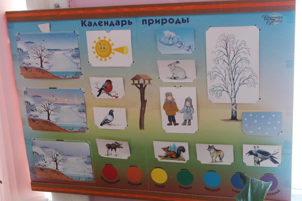 Заказать Уголок природы 