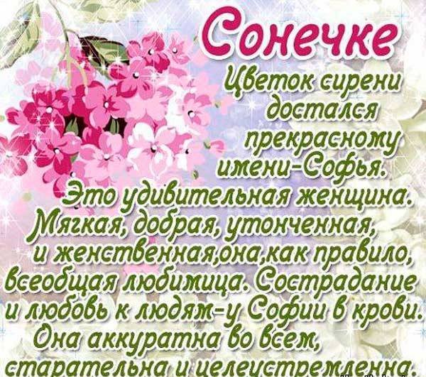 С днём рождения Софья#рек #софья#софия 