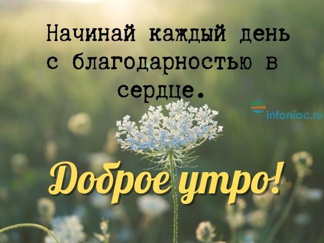 28 картинок цитат с добрым утром, поднимающих настроение 