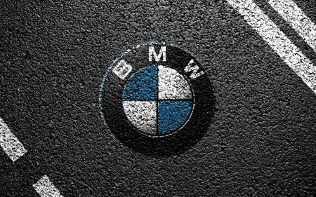 Автолялечка Эмблема BMW оригинал передняя чёрная, цена на 