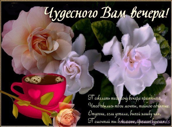 Всем доброго уютного вечера и спокойной ночи!