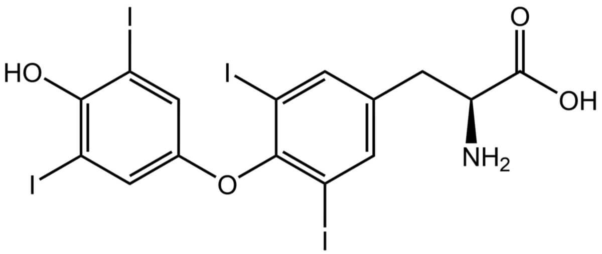 L-карнитин