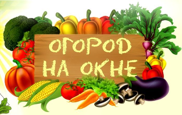 Огород на подоконнике — мифы и 