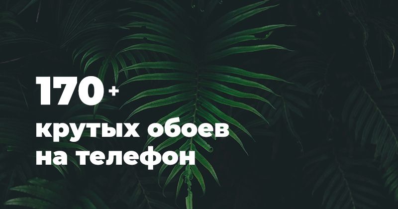 Обои На Телефон Растения