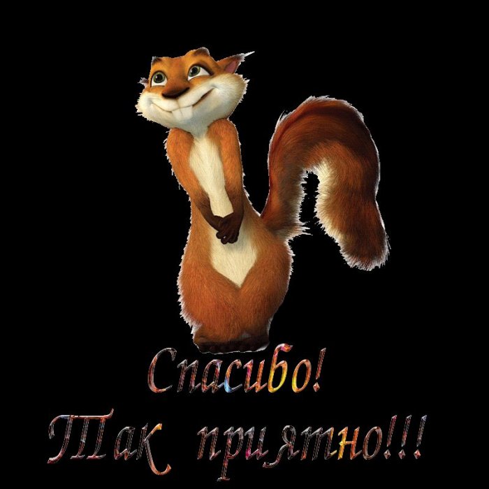 Носки с надписью Happyfox 6654891 белый 