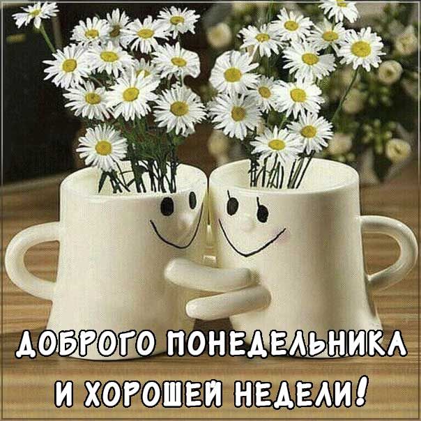 🍁😊🎉Лёгкого и удачного первого осеннего Понедельника 