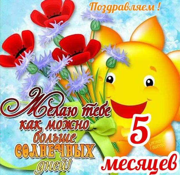 Внучке 8 месяцев открытки 