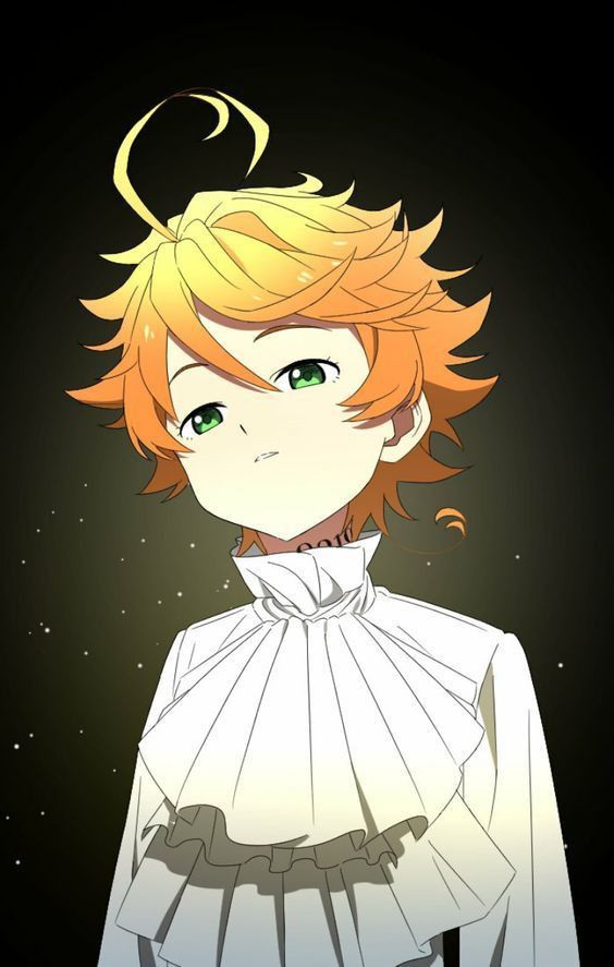 Обещанный Неверленд / The Promised Neverland / Yakusoku no 