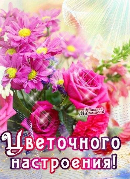 ЦВЕТЫ ДОСТАВКА ИВАНОВКА @flower