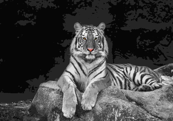 Moving Tiger Live Wallpaper for PC 