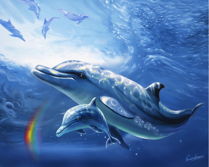 Dolphins Live Wallpaper for Android 