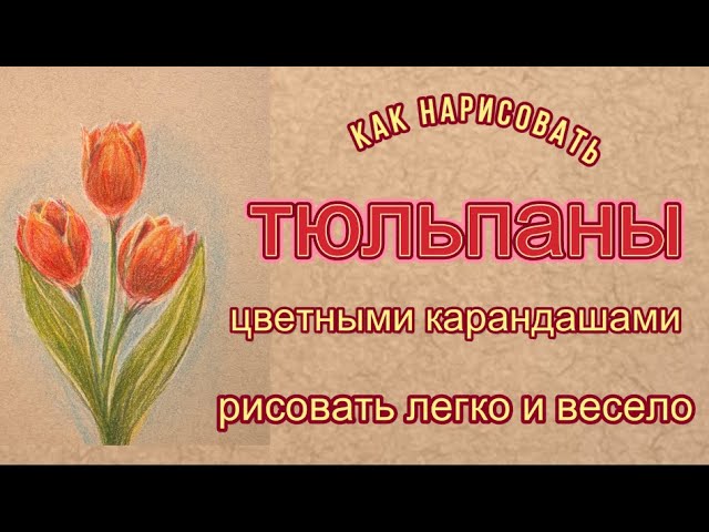 Как нарисовать тюльпаны