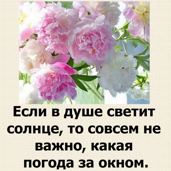 🌸#Эверест#команда_Кононковой#🌸 💥 Всем доброго времени 