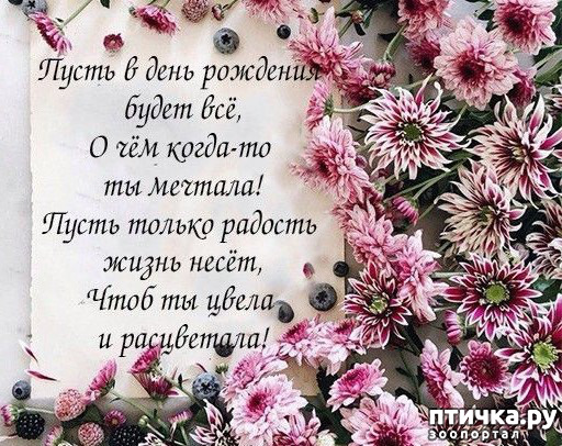 С днем рождения, наша любимая Оля, Олечка, Оленька! — НЕМЦОВ МОСТ