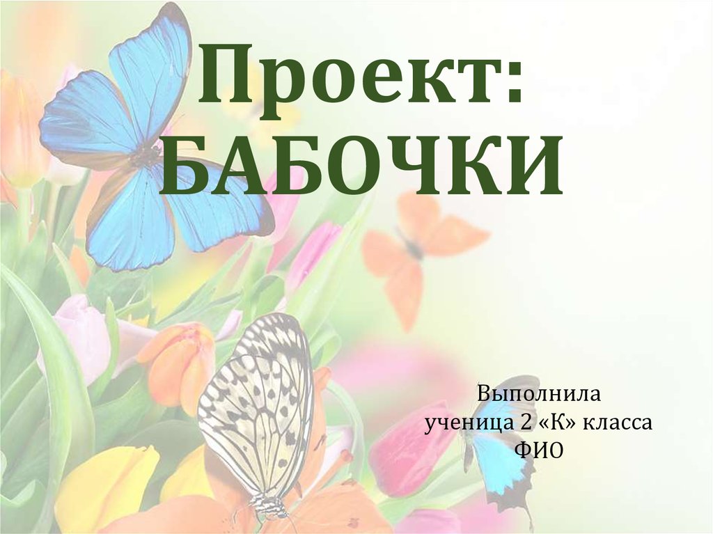 Презентация Бабочки 3 класс по окружающему миру – скачать 