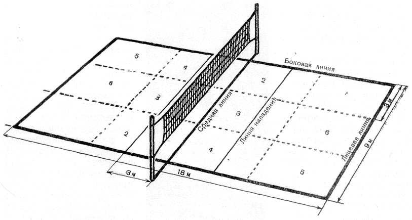 Фон волейбольная площадка